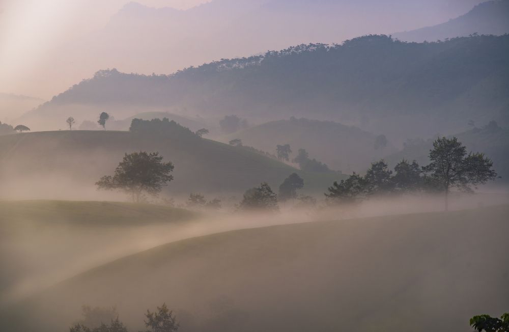 Photograph by Trần Anh Tuấn