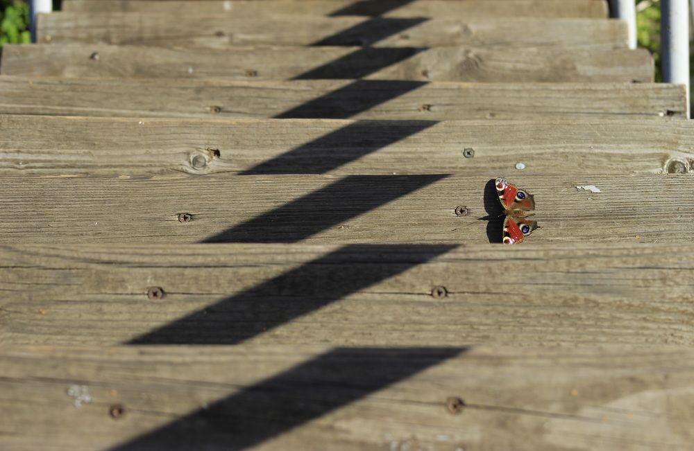 Photograph by Анна