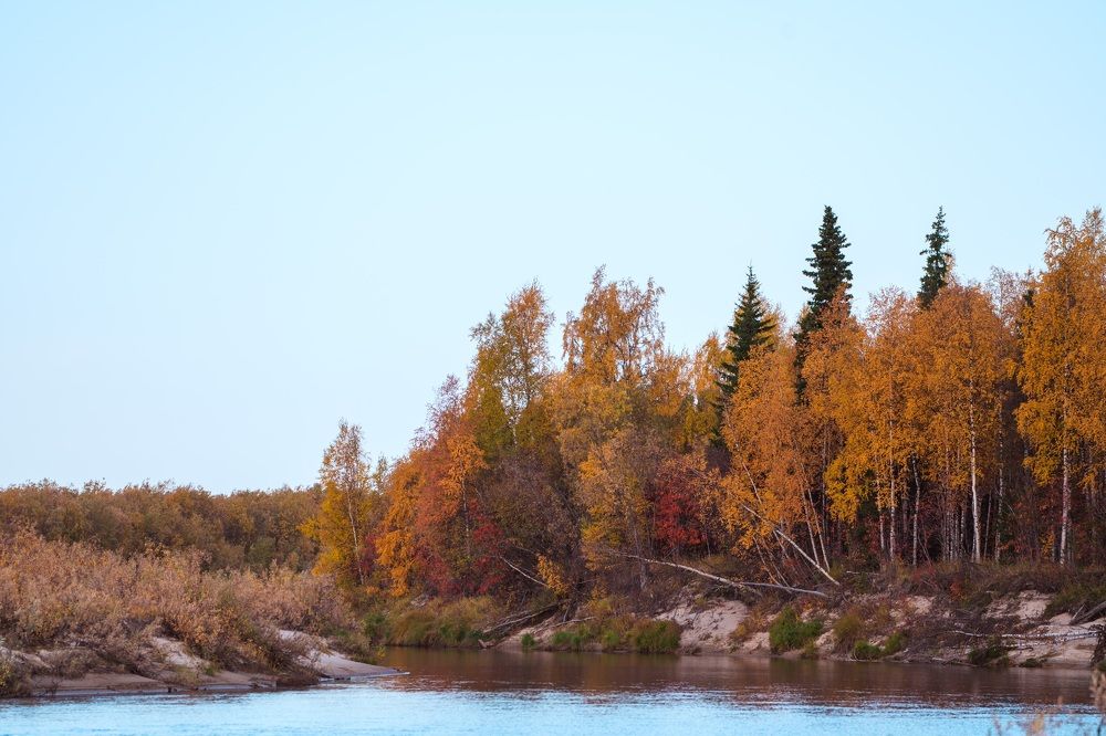 Фотография автора Viktoriya Kim