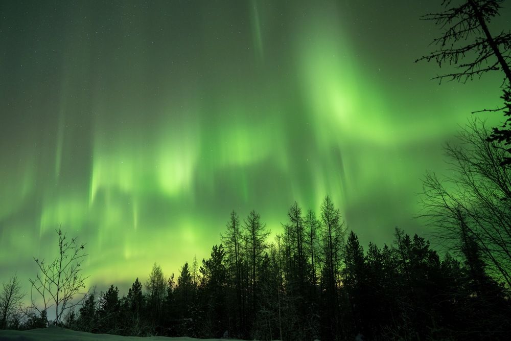 Фотография автора Viktoriya Kim