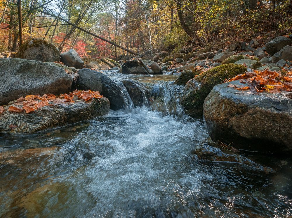 Photograph by Матвей Матвеев