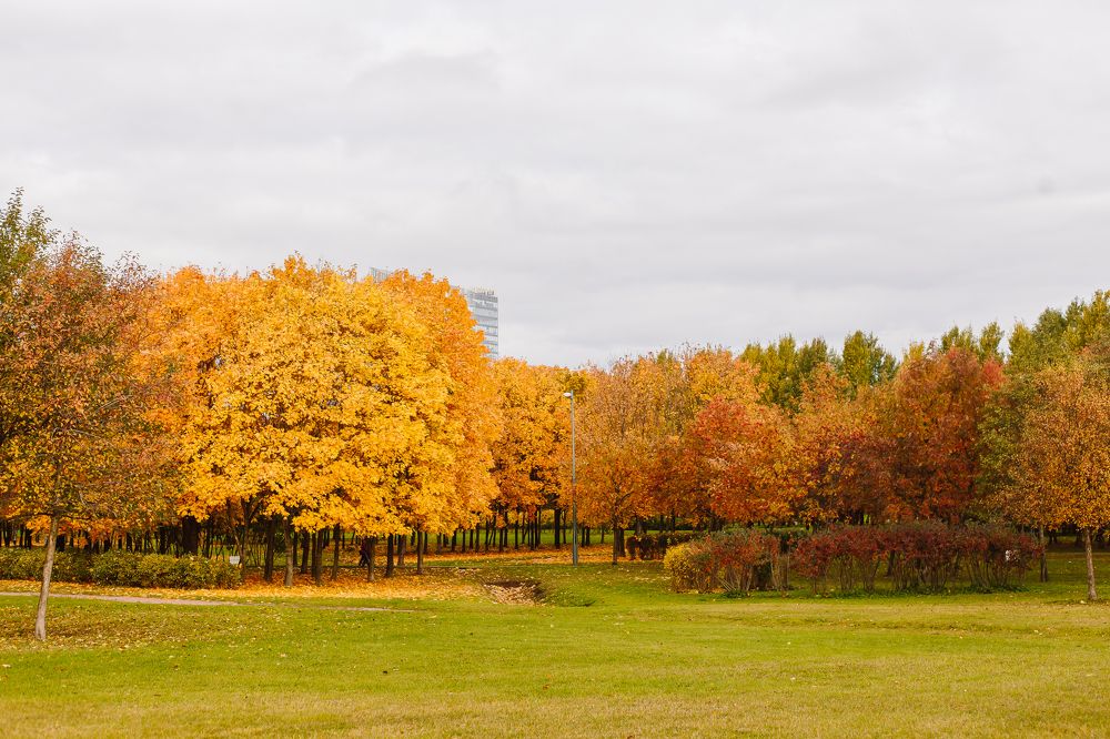 Photograph by Татьяна Скорина