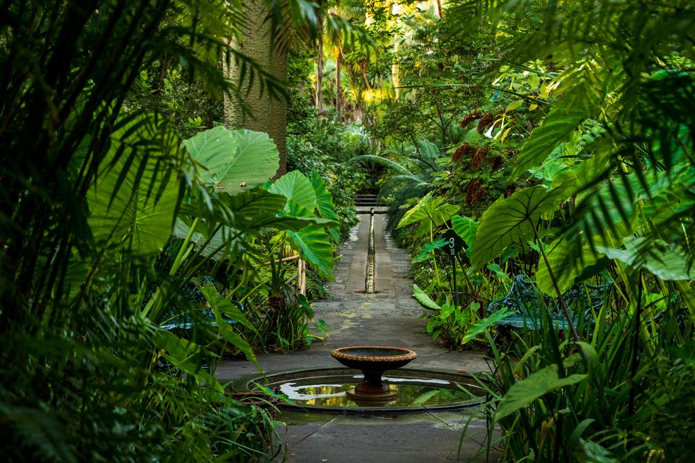 Фотография автора Нина Кулишова