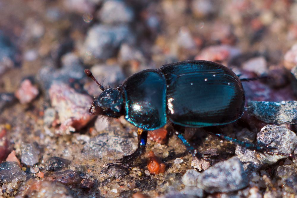 Фотография автора Viktoriya Kim