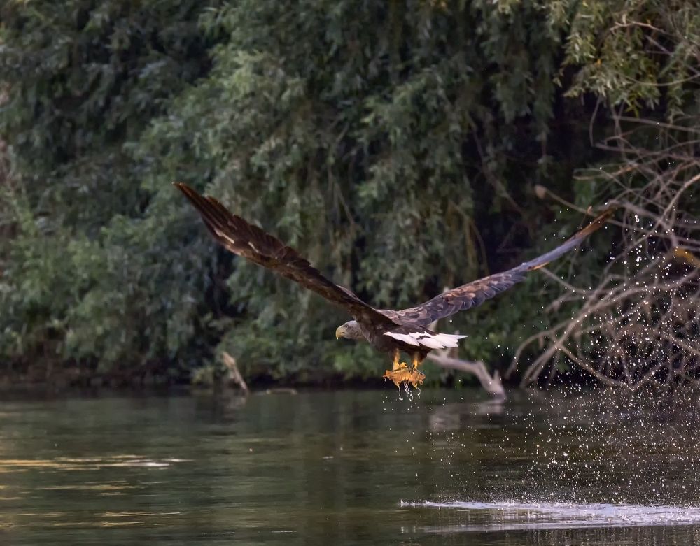 Photograph by Анатолий Салтыков