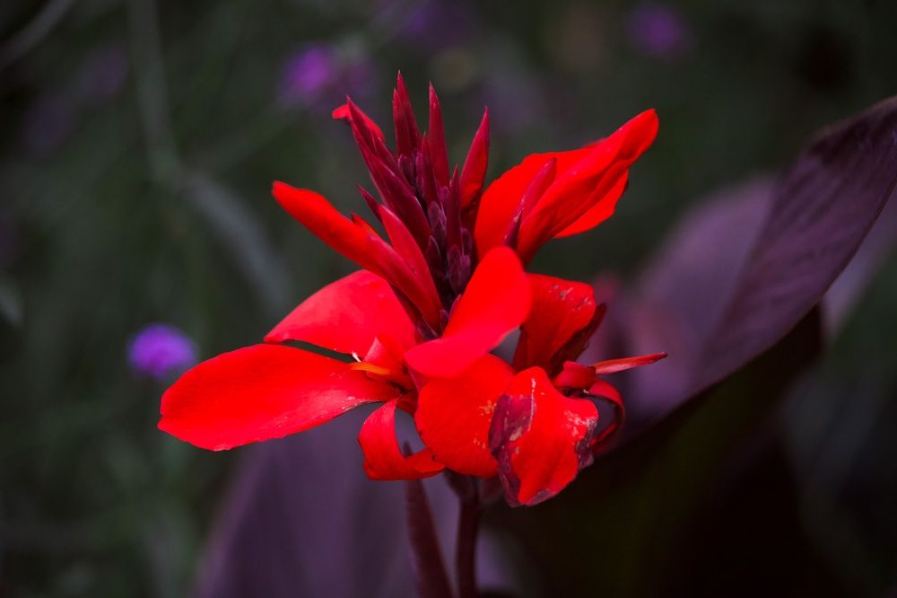 Фотография автора Viktoriya Kim