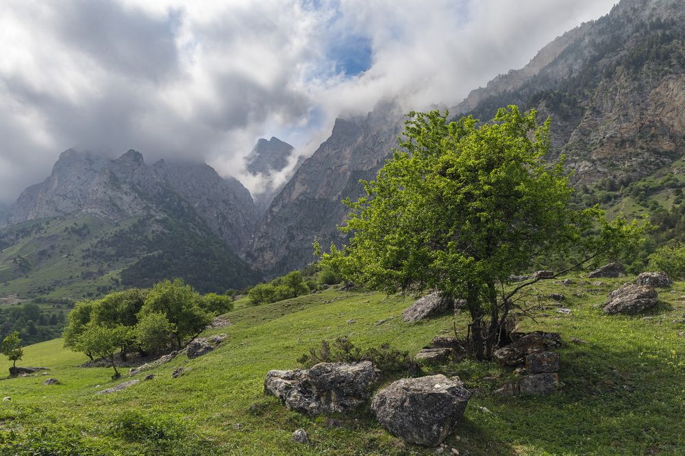 Photograph by Ярослав Лукьянов