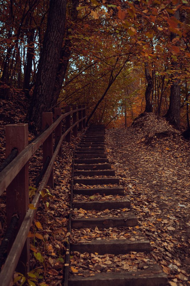 Photograph by Олеся Лагутина