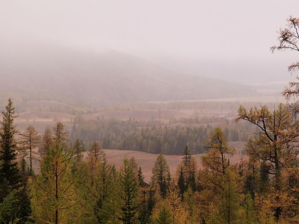 Photograph by Константин