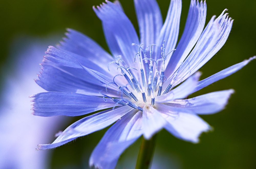 Photograph by Валерий