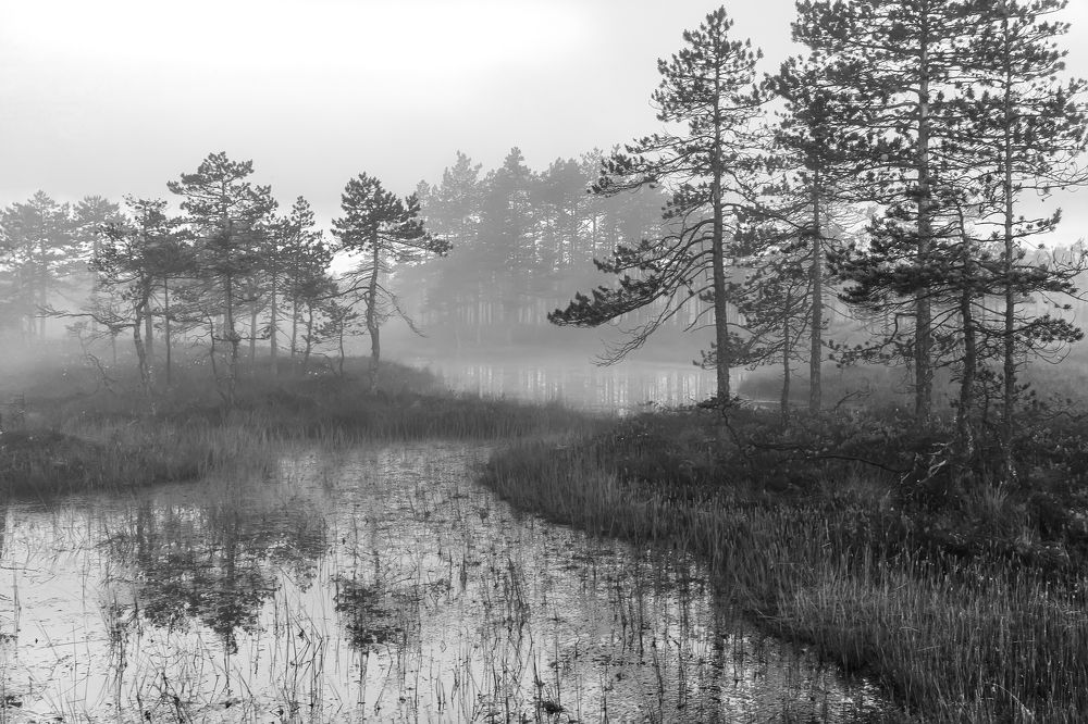 Photograph by Ярослав Лукьянов