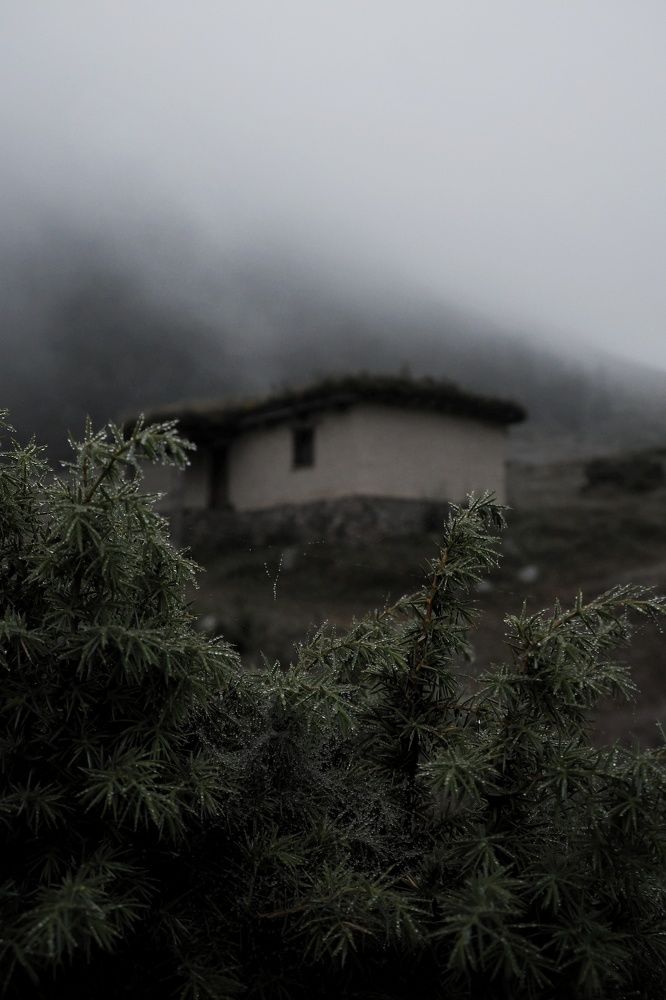 Photograph by Пузан Александр