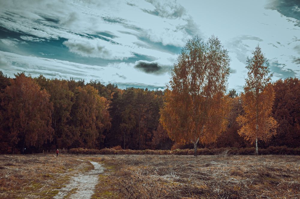 Photograph by Олеся Лагутина