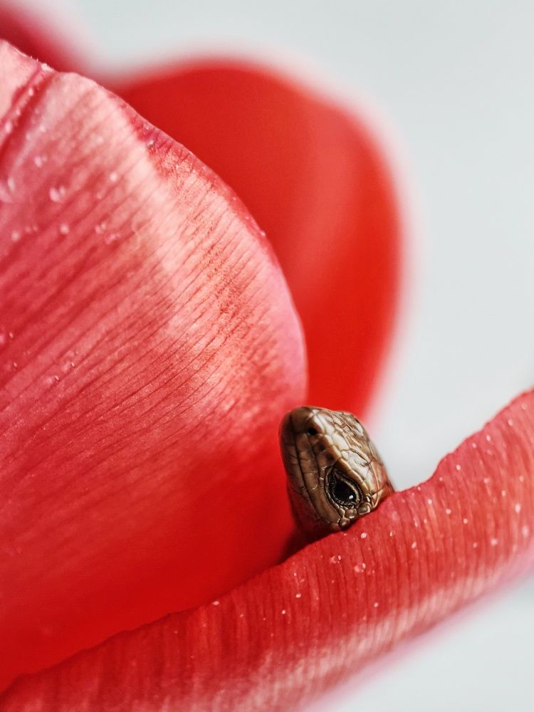 Photograph by Светлана Смирнова