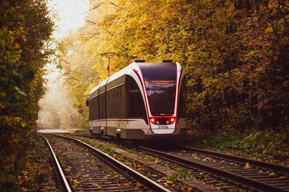 Photograph by Александр Ермаченко