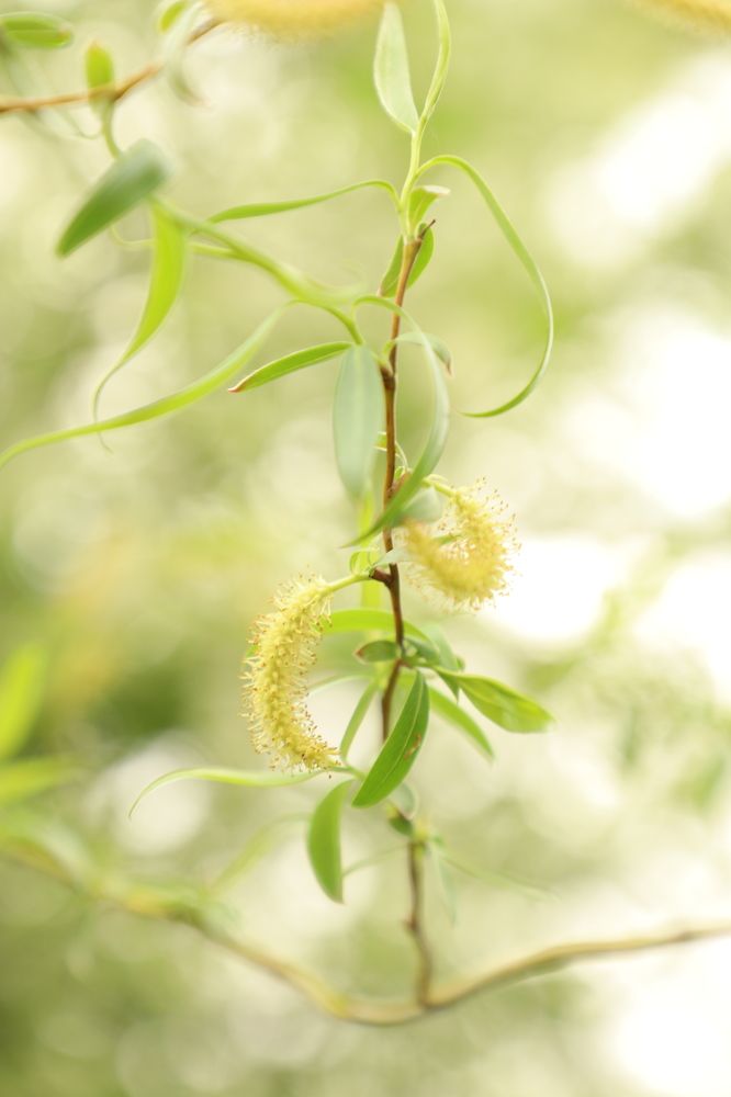 Photograph by Оксана Соколова