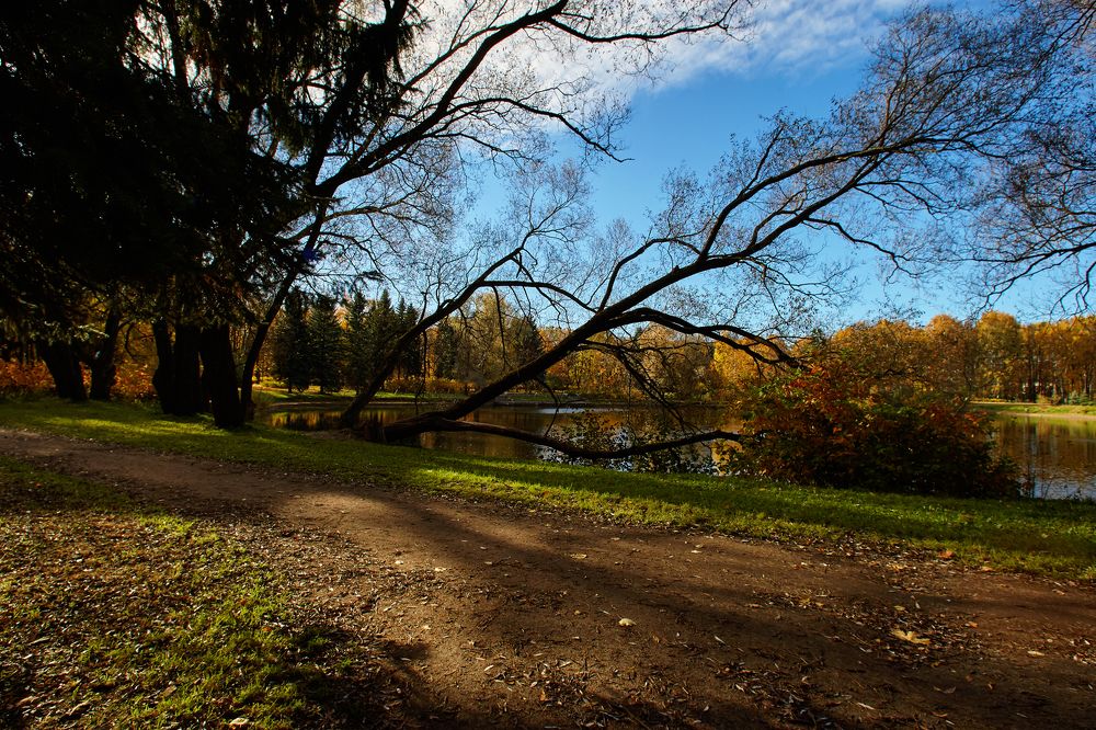 Фотография автора Владимир Борисов