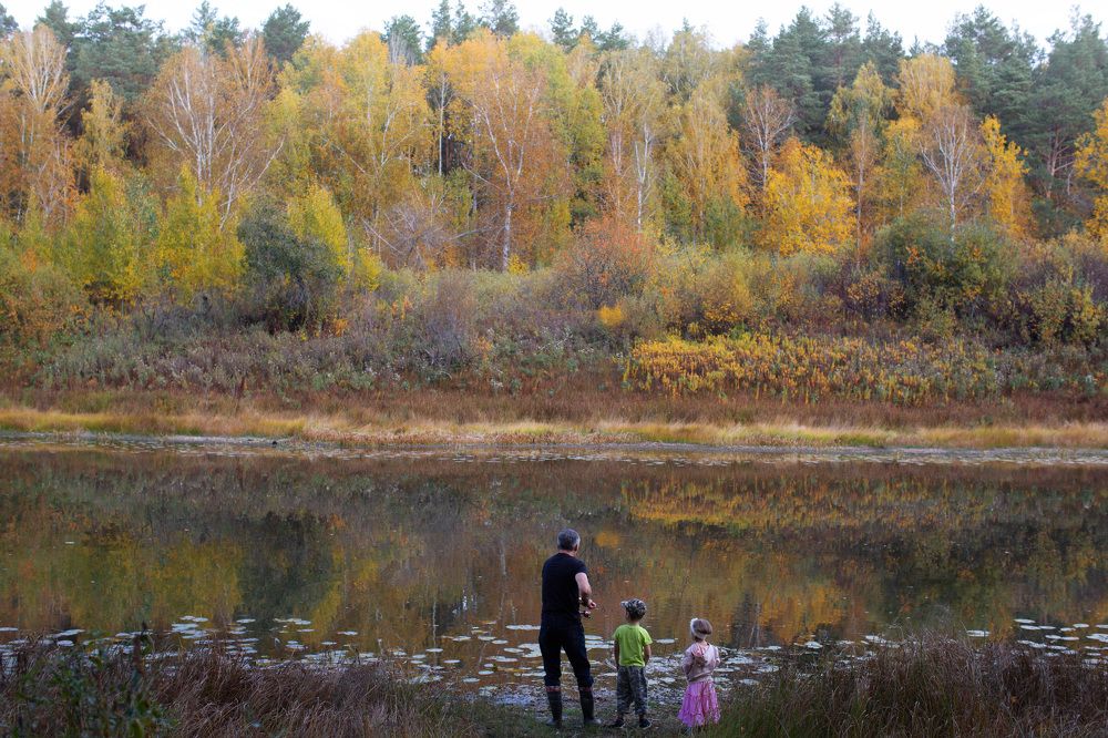 краски осени