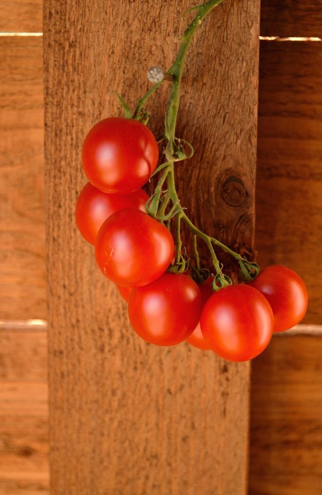 Photograph by Кира Орлова