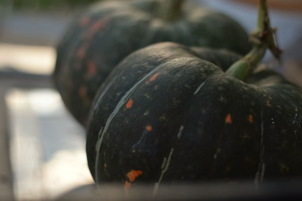 Photograph by Любовь Малышева