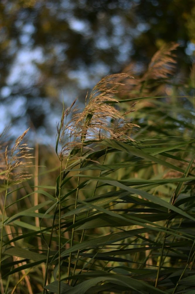 Photograph by Любовь Малышева
