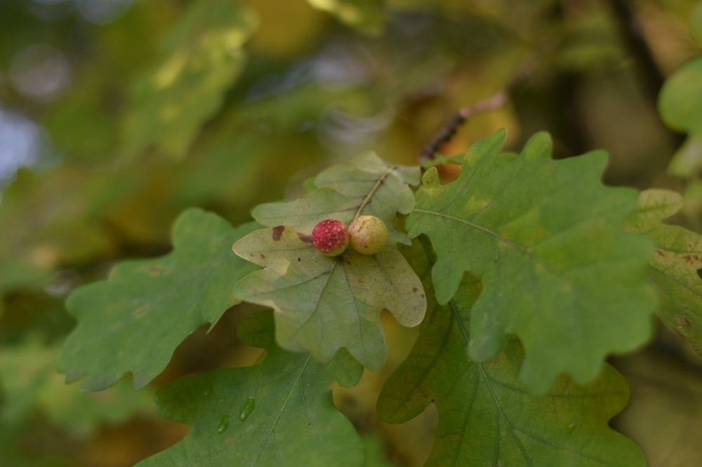 Photograph by Любовь Малышева