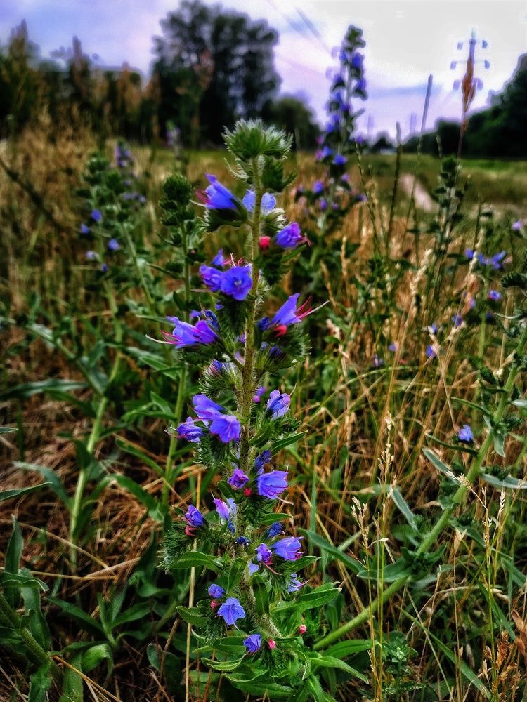 Photograph by Гвоздецкая Анна