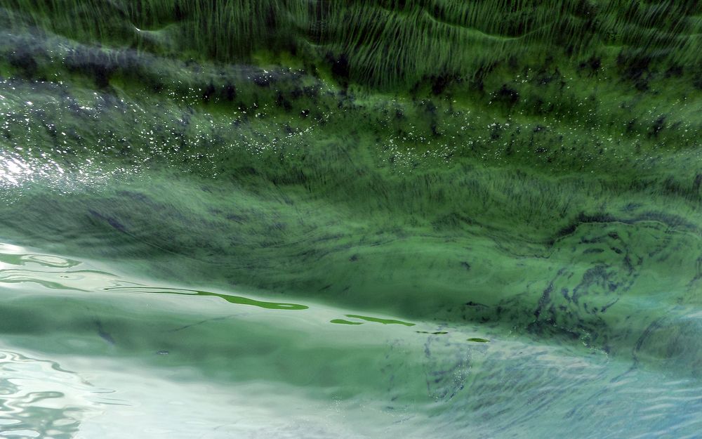 Photograph by Сергей Рудаков