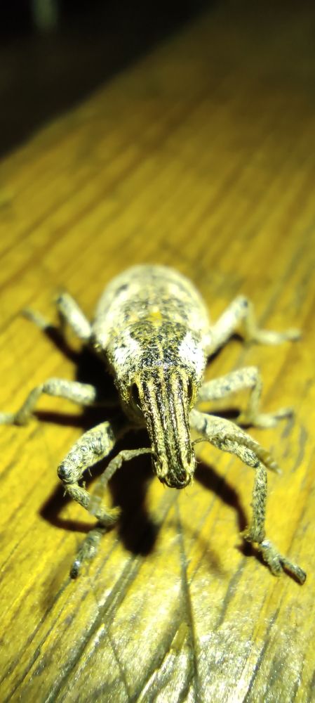 Photograph by Валентин Волк