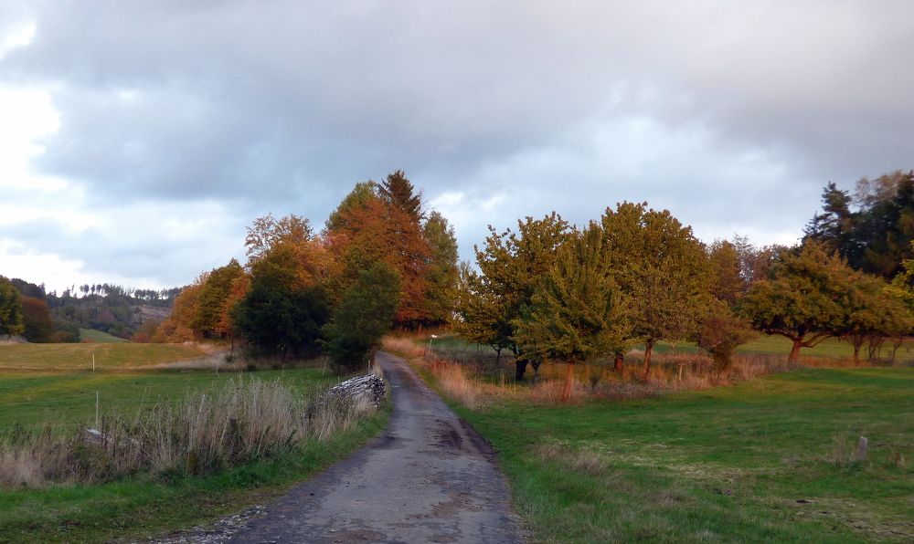 Photograph by Pjotr Alekseev