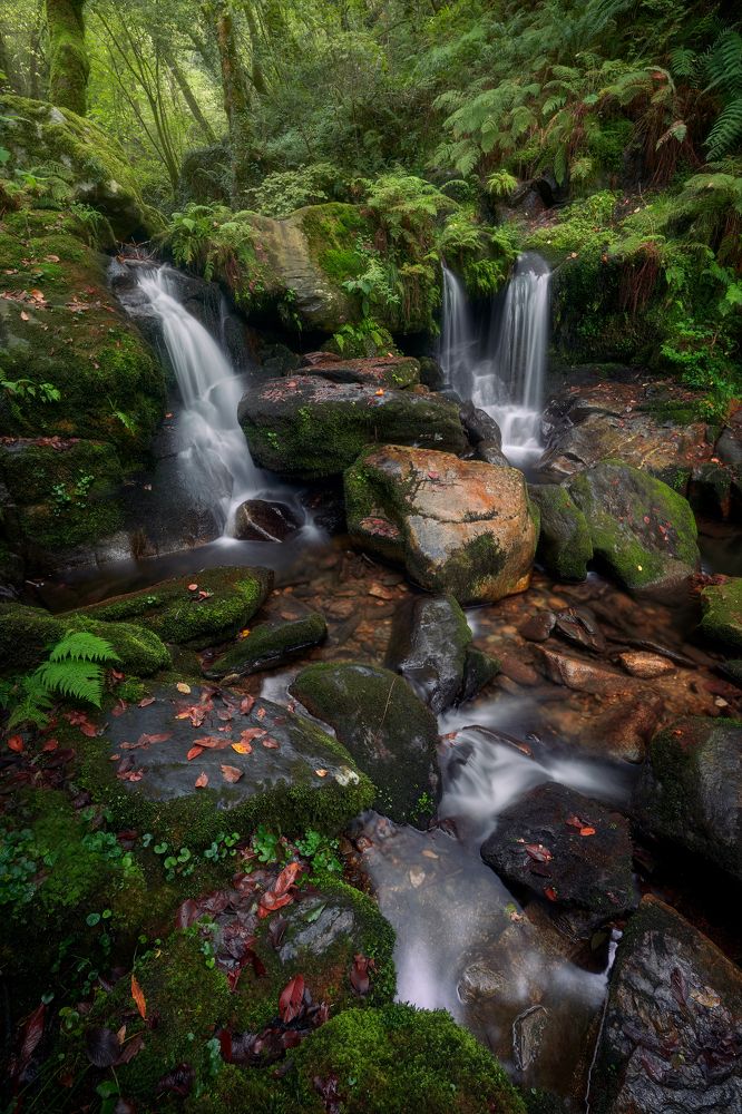 The Shrine of the Thousand Shades