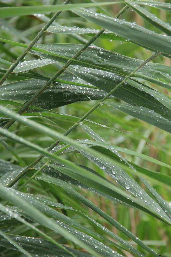 Photograph by Анна Березина