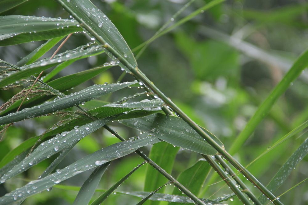 Photograph by Анна Березина