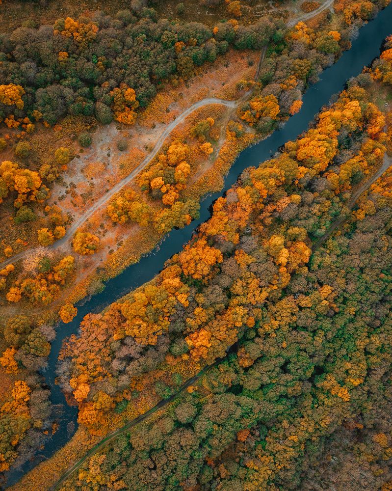 Photograph by Михаил Канивецкий