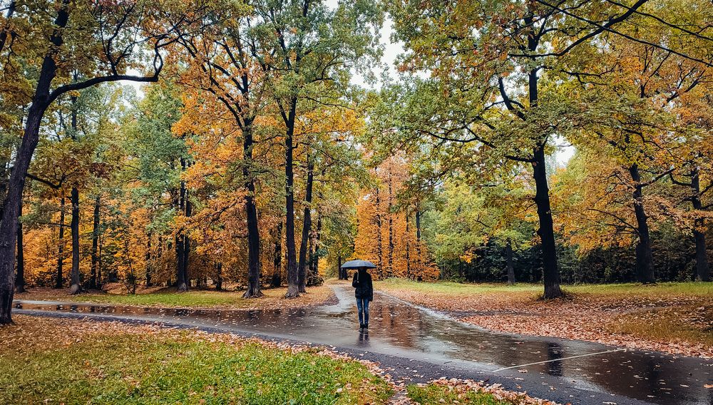 Осеннее одиночество