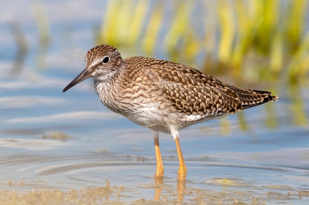 Photograph by Павел Краснослободцев