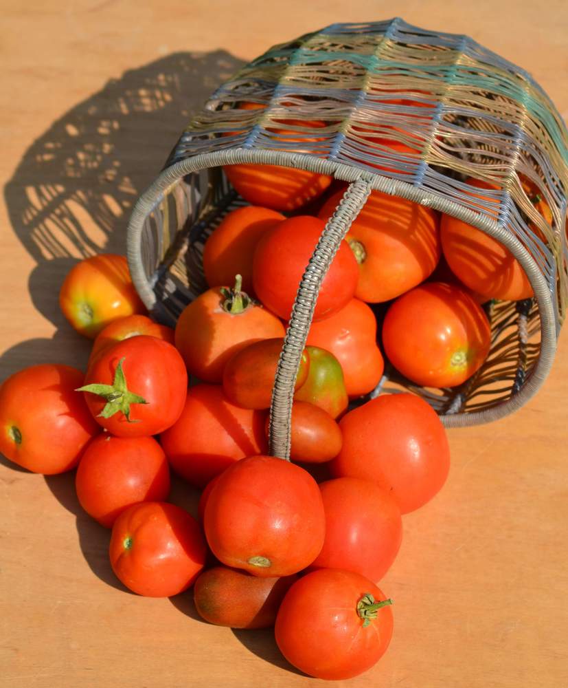 Photograph by александр фетисов