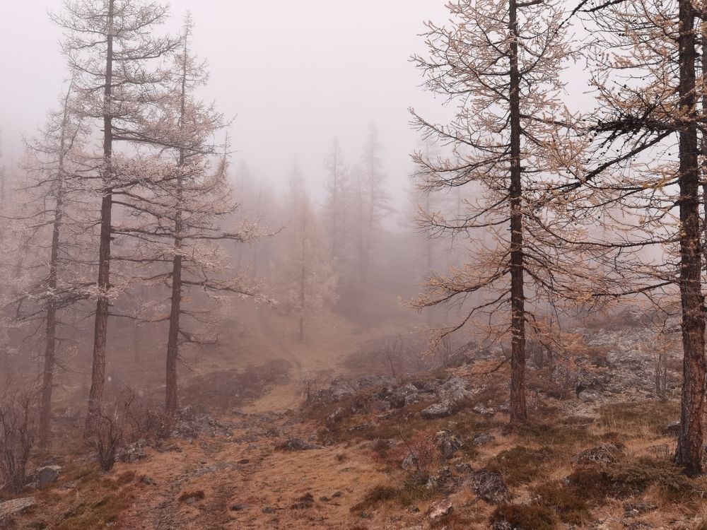 Photograph by Константин