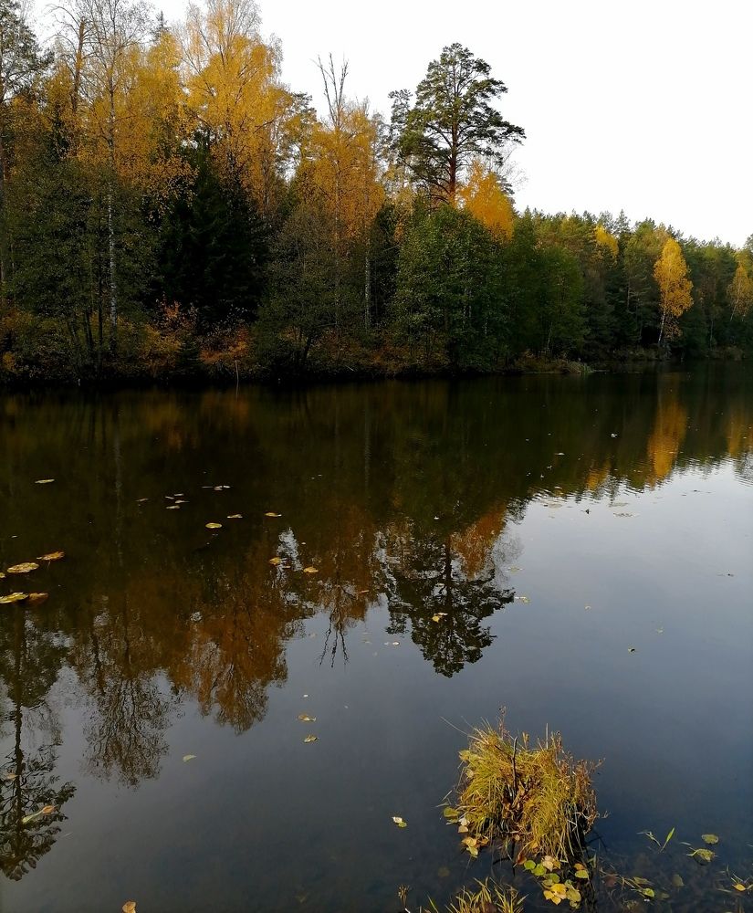 Photograph by Кунц