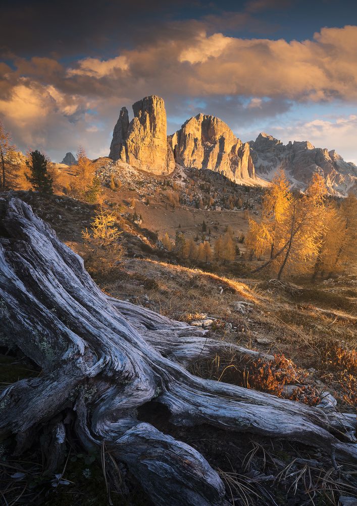 Photograph by Roksolyana Hilevych