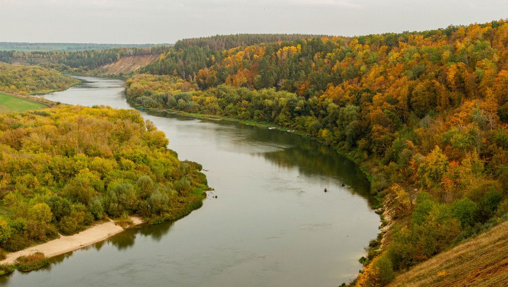 Фотография автора Алексей Тимофеев
