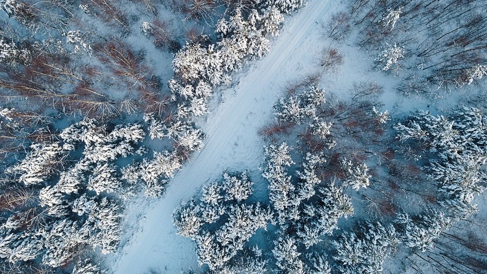 Photograph by Шаталина Оксана