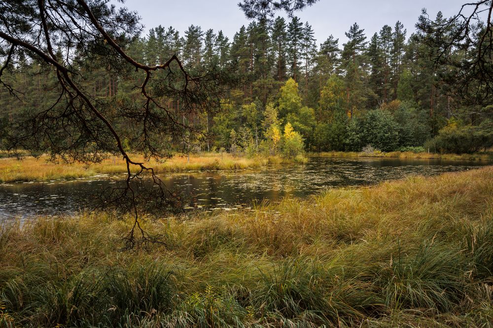 Фотография автора Refat Mamutov