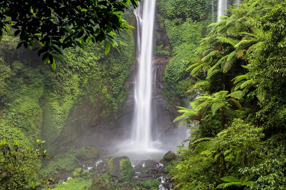 Photograph by Tatiana Varfolomeeva