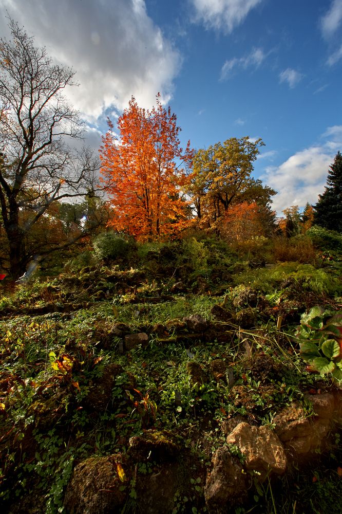 Фотография автора Владимир Борисов