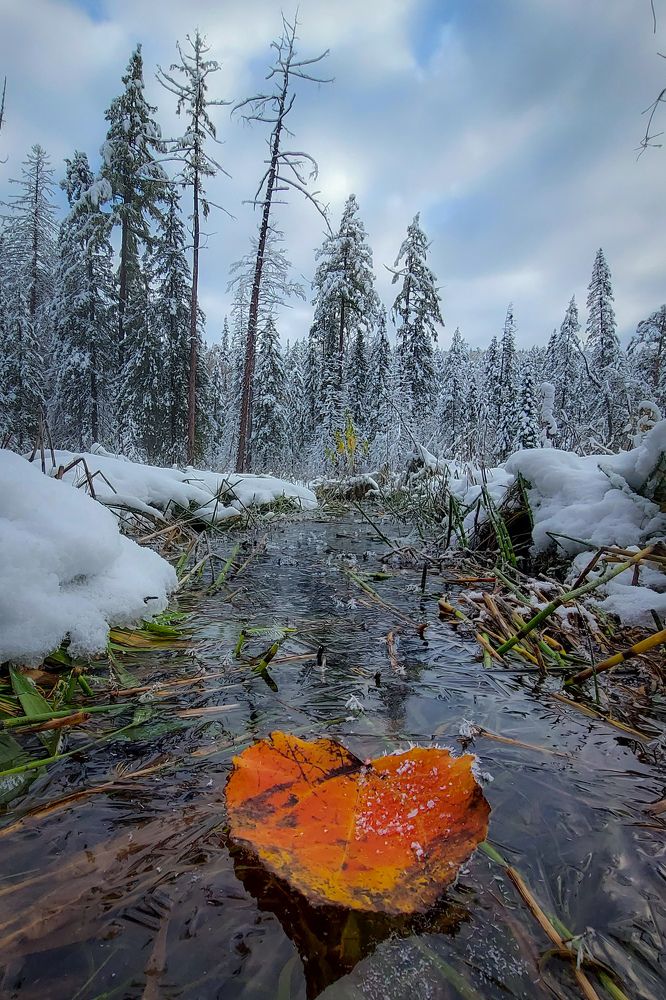 Photograph by Жданов Дмитрий