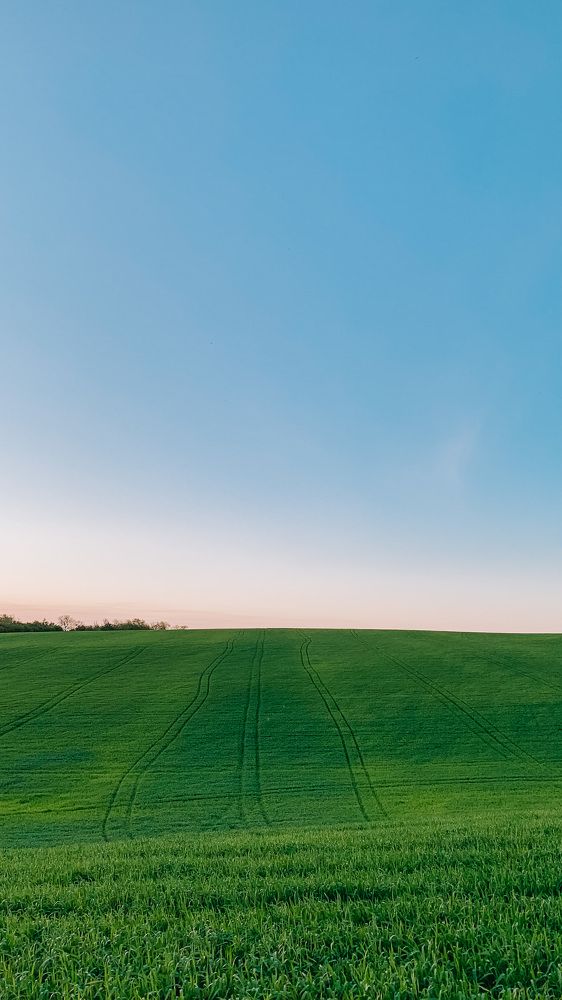 Photograph by Наталья Ключинская