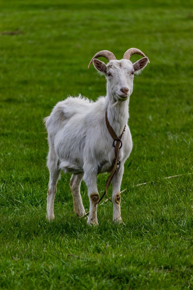 Photograph by Сергей Зайцев