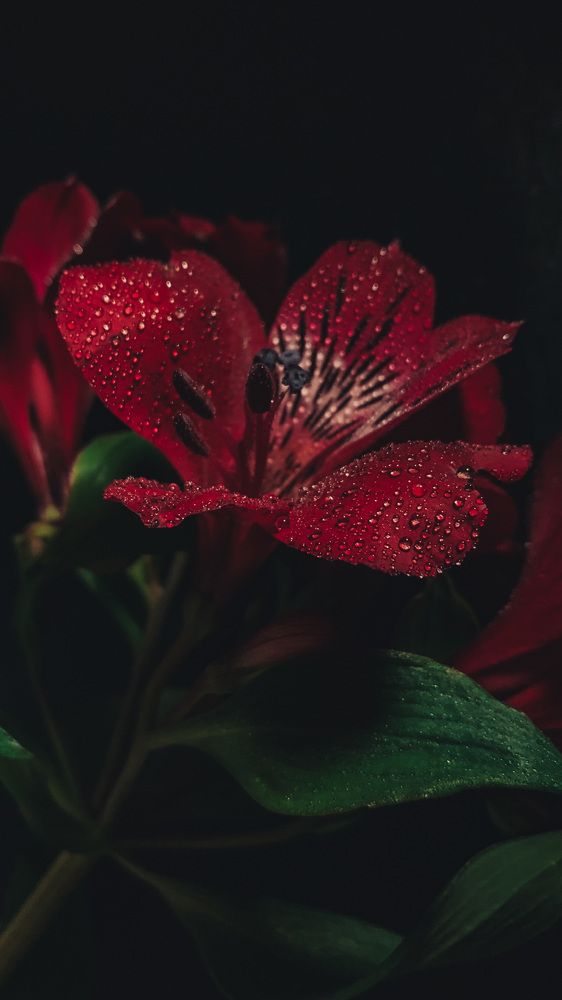 Photograph by Наталья Ключинская