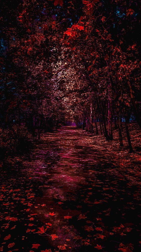 Фотография автора Всеволод